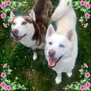 Meet your Posher, Dayna